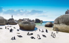 SAT-000-1410G_© South African Tourism