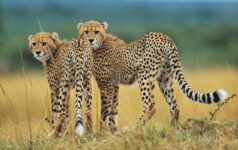 X12132_© South African Tourism